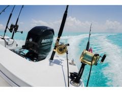 Mercury 60 HP ELPT EFI Uzun Şaft Marşlı - Trimli Deniz Motoru