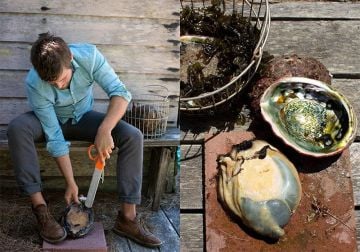 Kraken Bıçak ABALONE, Midye Toplama Aleti